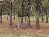 4812 Buckhorn Rd - Photo 33