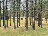 4812 Buckhorn Rd - Photo 34