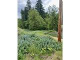  Carson Depot Rd - Photo 4