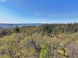 33 Acres Off Canyon Rd. - Photo 29
