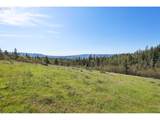 33 Acres Off Canyon Rd. - Photo 4