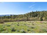 33 Acres Off Canyon Rd. - Photo 5