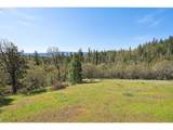 33 Acres Off Canyon Rd. - Photo 7