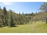 33 Acres Off Canyon Rd. - Photo 8