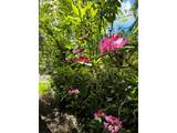 0544377 Bayberry Ln - Photo 4