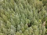  Rat Creek Rd - Photo 12