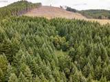  Rat Creek Rd - Photo 13