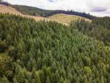  Rat Creek Rd - Photo 14