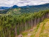 Rat Creek Rd - Photo 22