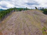  Rat Creek Rd - Photo 3