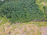  Rat Creek Rd - Photo 6