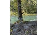 49064 Hills Creek Rd - Photo 10
