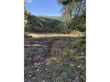 49064 Hills Creek Rd - Photo 13