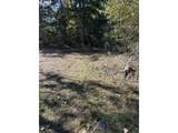 49064 Hills Creek Rd - Photo 14