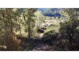 49064 Hills Creek Rd - Photo 15