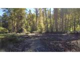 49064 Hills Creek Rd - Photo 19