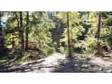 49064 Hills Creek Rd - Photo 20
