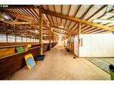 24503 Crawford Rd - Photo 41