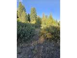 0 Undetermined - Photo 2