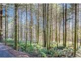 0 Bunker Hill Rd - Photo 10