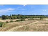 168633000 182nd Ave - Photo 18