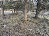  Prarie Dog Dr - Photo 27