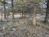  Prarie Dog Dr - Photo 28