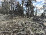  Prarie Dog Dr - Photo 41