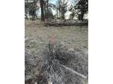  Prarie Dog Dr - Photo 45