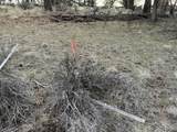  Prarie Dog Dr - Photo 46