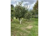 420 Edgeview Dr - Photo 10