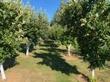 420 Edgeview Dr - Photo 12