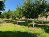 420 Edgeview Dr - Photo 13