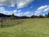 420 Edgeview Dr - Photo 4