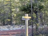  Artesian Dr - Photo 16
