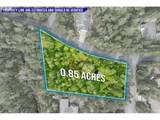  Wood Lake Way - Photo 2