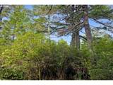  Wood Lake Way - Photo 21
