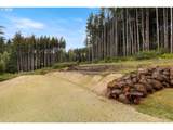 42345 Shipley Rd - Photo 38