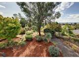 2609 Mcloughlin Blvd - Photo 14