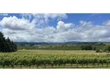 7200 Bony Rd - Photo 13