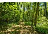40309 Miller Rd - Photo 41