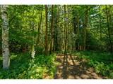 40309 Miller Rd - Photo 42