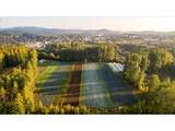 25159 Grange Hall Rd - Photo 2