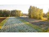 25159 Grange Hall Rd - Photo 46