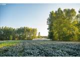 25159 Grange Hall Rd - Photo 48