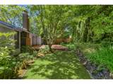 20015 Paulina Dr - Photo 29