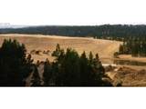 0 Tenmile - Photo 29