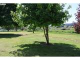 5659 Spring Hill Rd - Photo 37