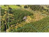 92296 Cascade Woods Dr - Photo 2