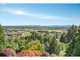 211 Alderwood Dr - Photo 42
